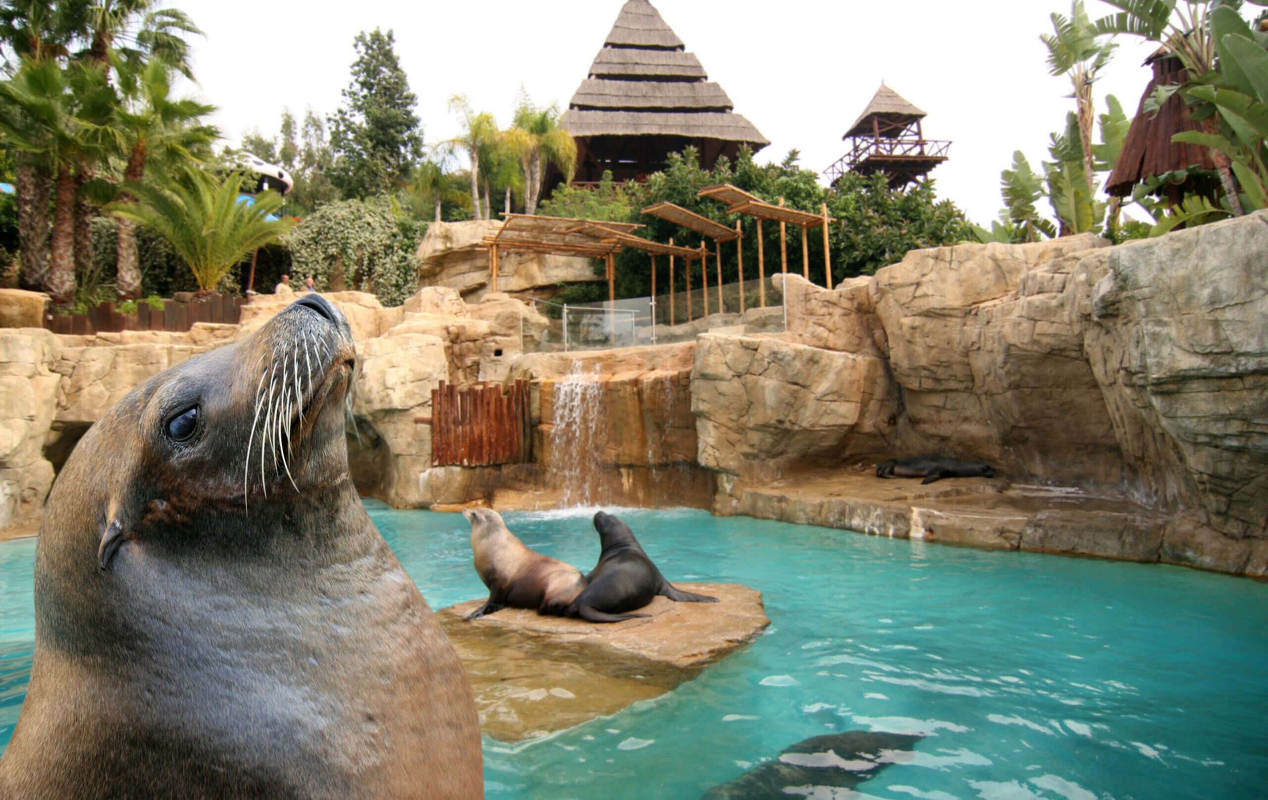 Answer the Call of the Wild — A VIP Family Adventure at Mundomar Animal Park